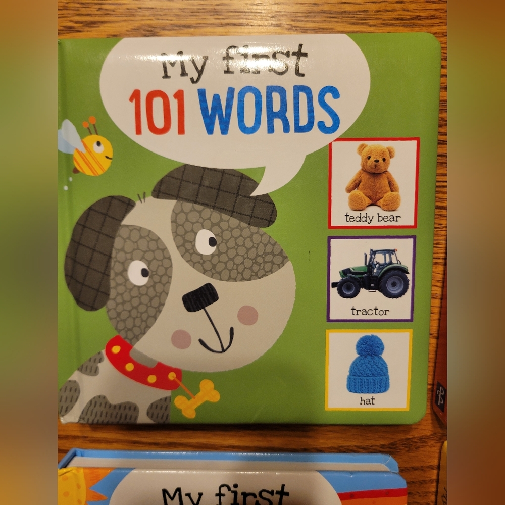 Board Book Set: Colors, Words, Animals & Numbers - Picture 2 of 7